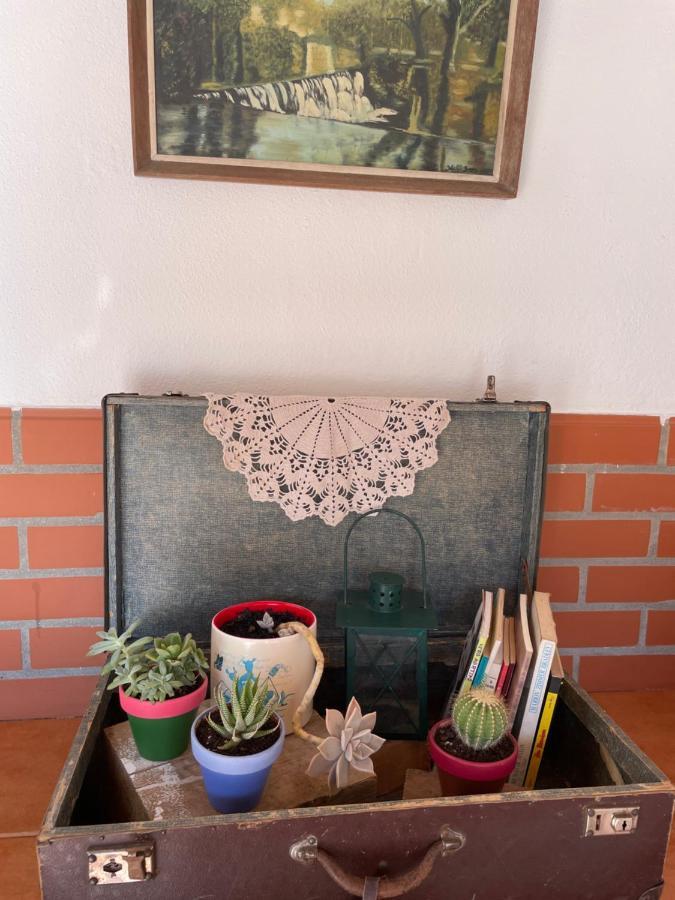 טומאר Del Rey Guest House מראה חיצוני תמונה